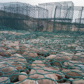 Покрынная PVC Шестиугольная Коробка gabion ячеистой сети 